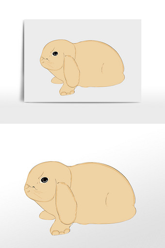 可爱肥胖生气的小兔子图片