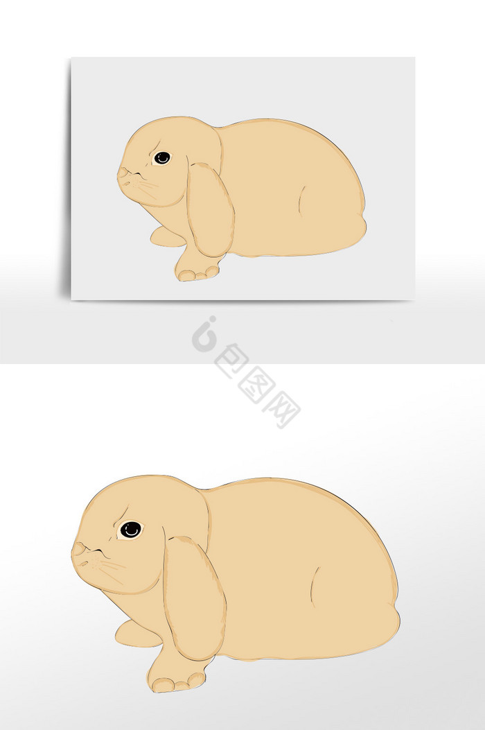 肥胖生气的小兔子图片