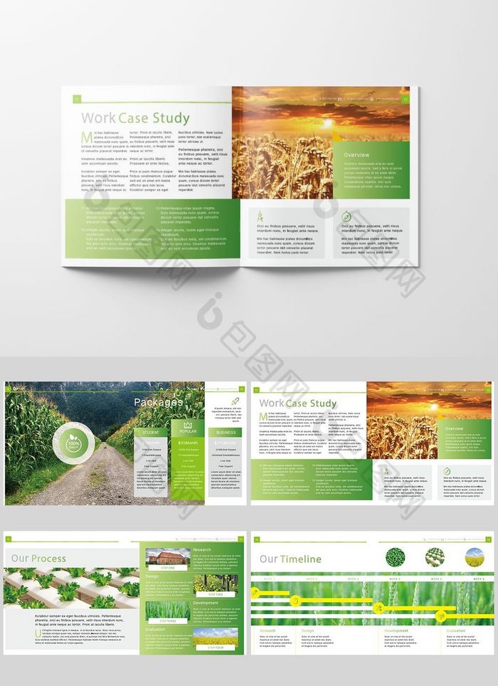 清新时尚绿色农业产品画册