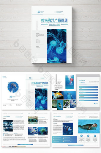 简洁大气海洋产品画册图片