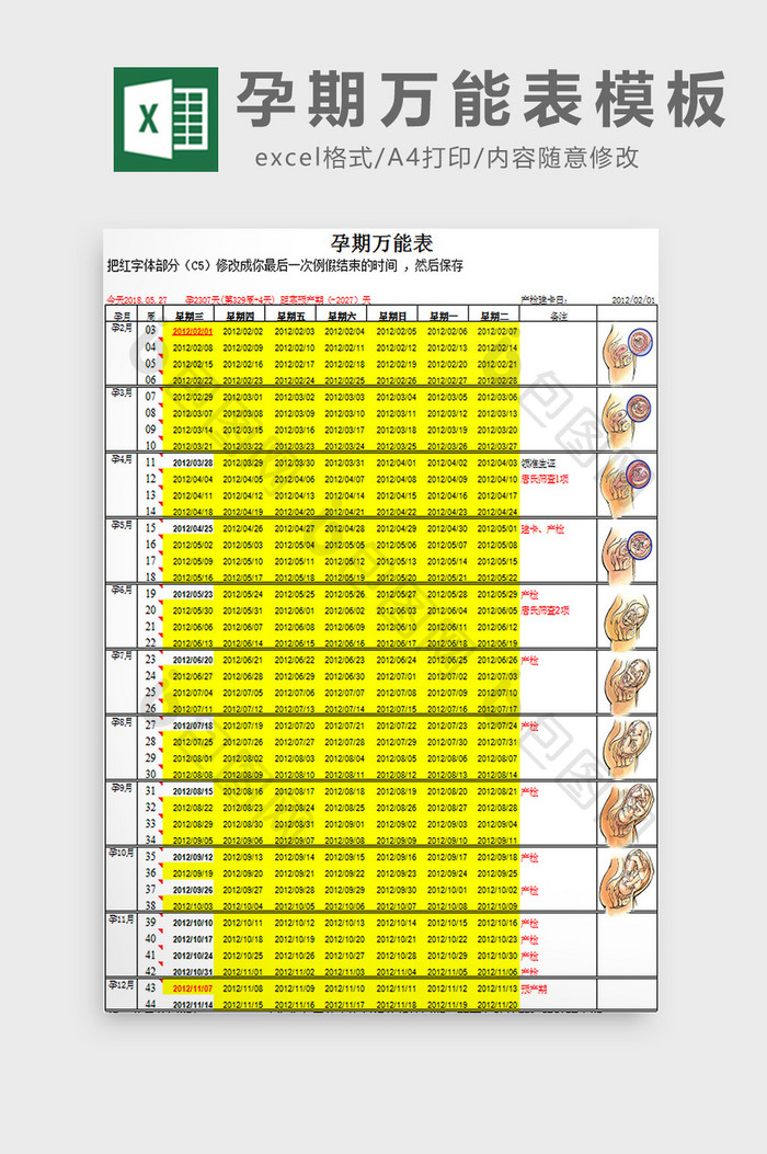 孕期万能表模板excel模板