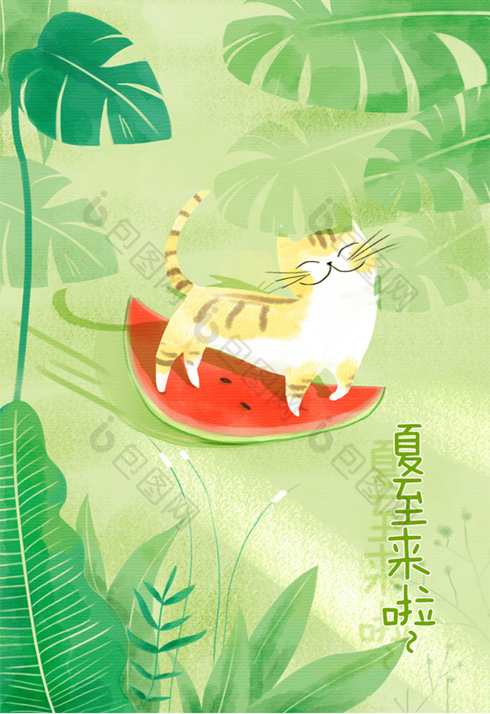 夏至猫咪玩西瓜皮草地绿植阳光明媚水彩插画