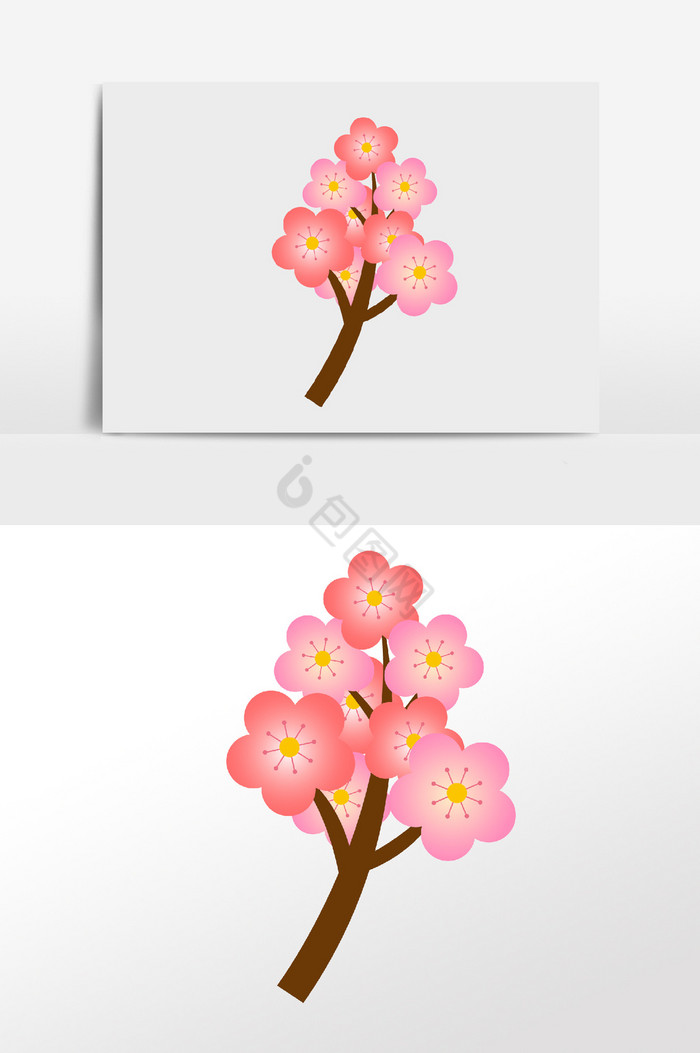 桃花植物图片