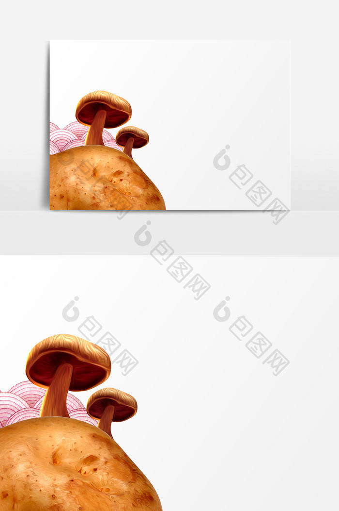 蘑菇菌类设计元素