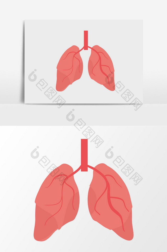 矢量卡通内脏肺脏