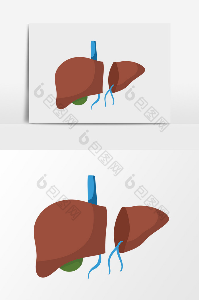 教学插画课件讲解图片