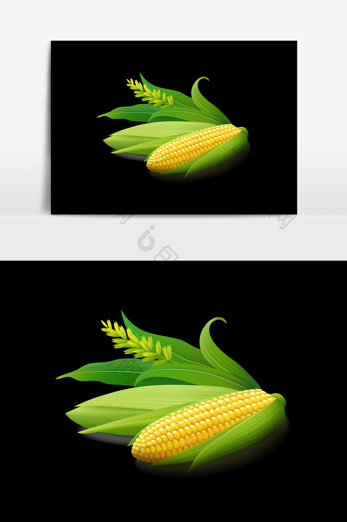 植物玉米设计元素
