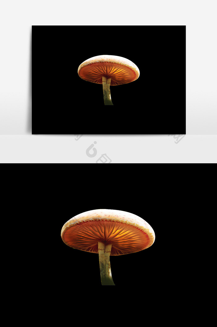 植物蘑菇设计元素