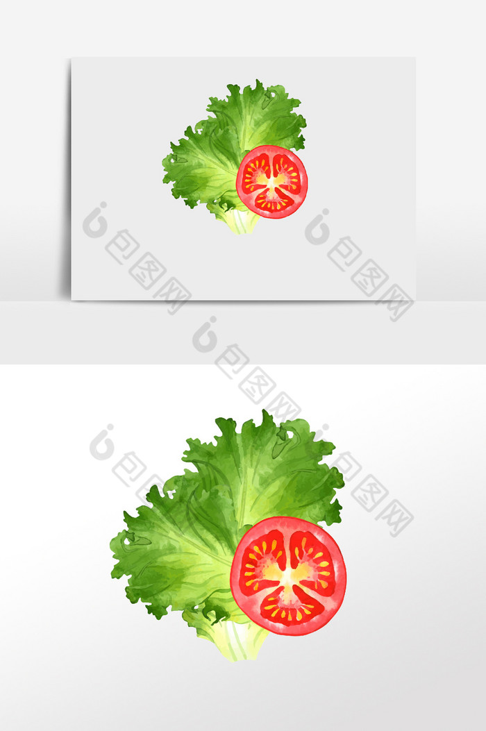 水彩手绘蔬菜生菜西红柿图片