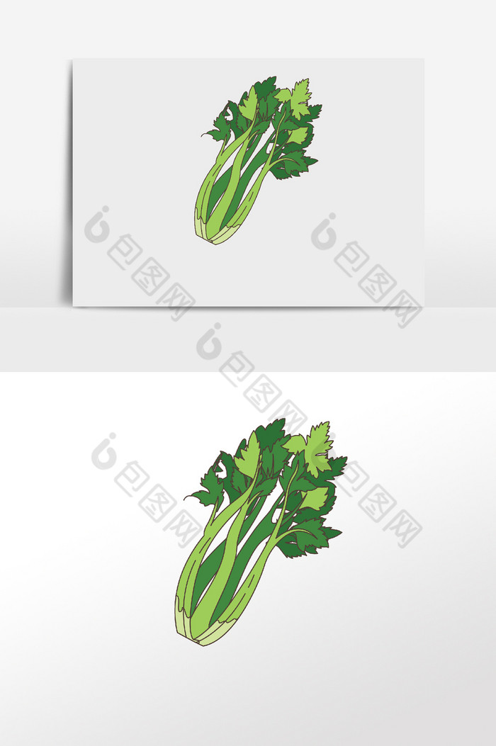蔬菜青菜芹菜图片图片