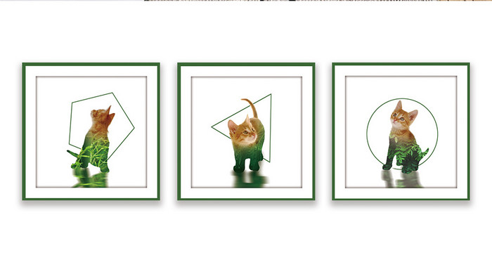 抽象动物剪影猫咪客厅现代创意装饰画