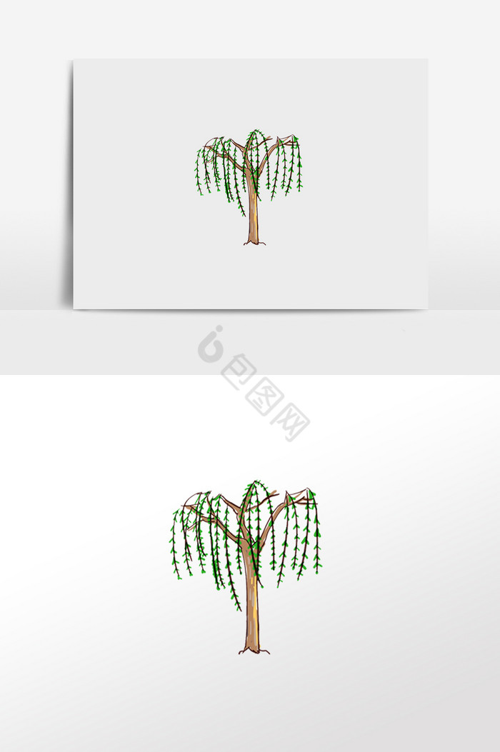植物柳树图片