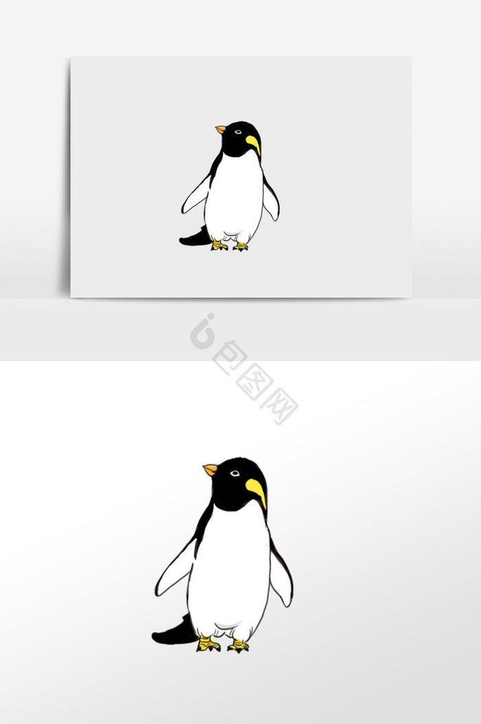 黑白王企鹅插画图片