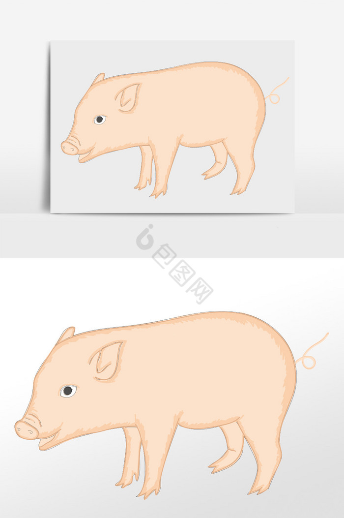 动物小猪图片