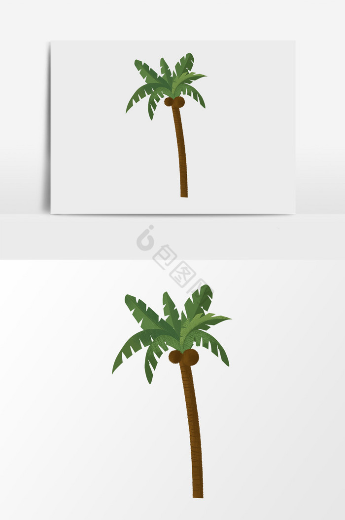 分层椰子树图片