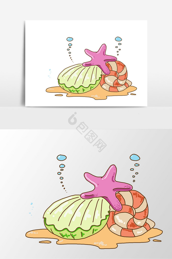 海洋贝壳生物图片