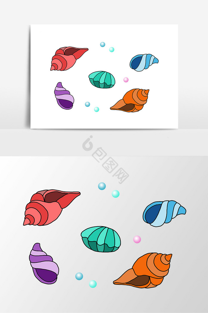 彩色海洋贝壳图片