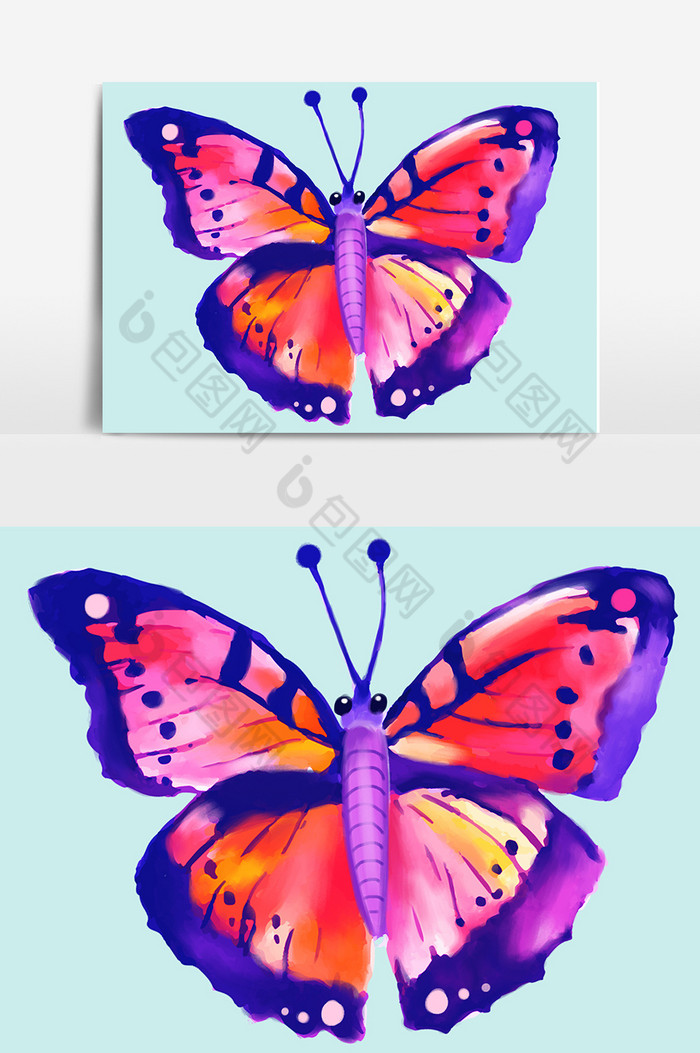 彩色蝴蝶图片图片