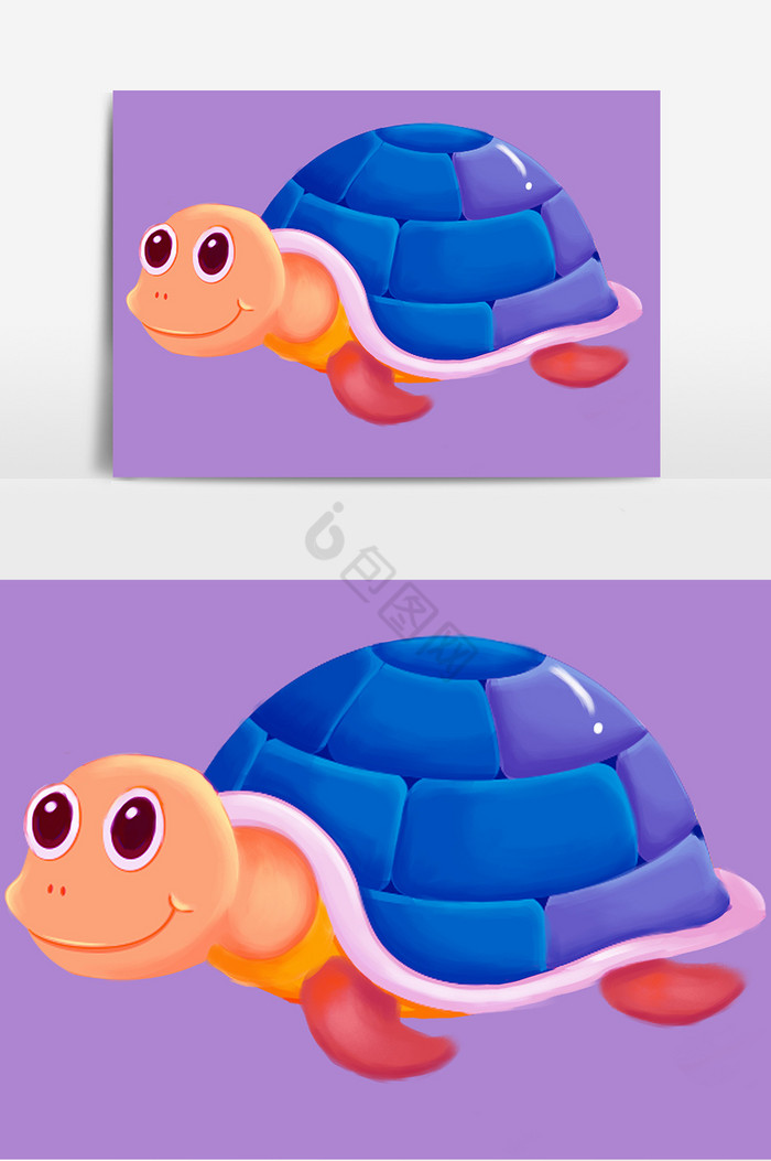 乌龟彩色图片