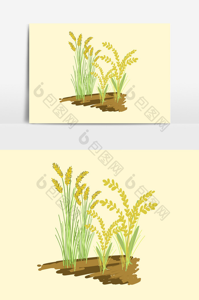 水稻植物设计元素