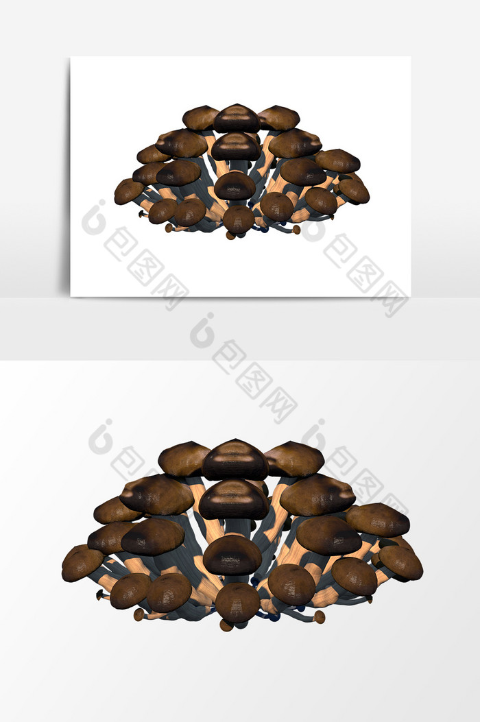 野生蘑菇图片图片