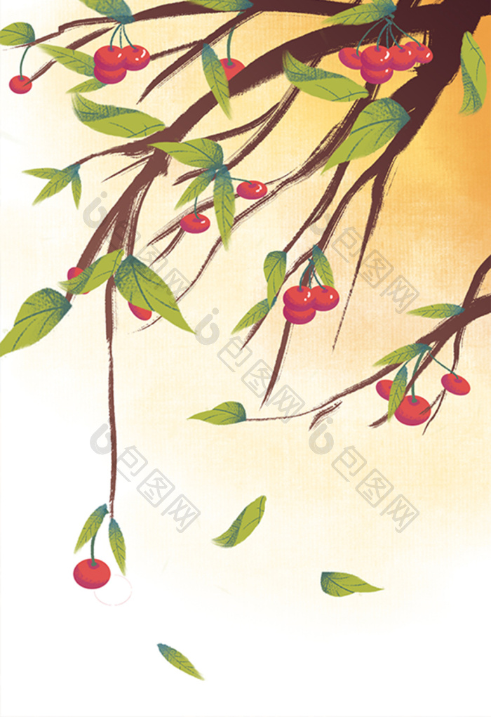 樱桃树插画