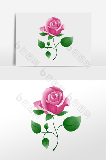 手绘玫瑰花花朵插画图片