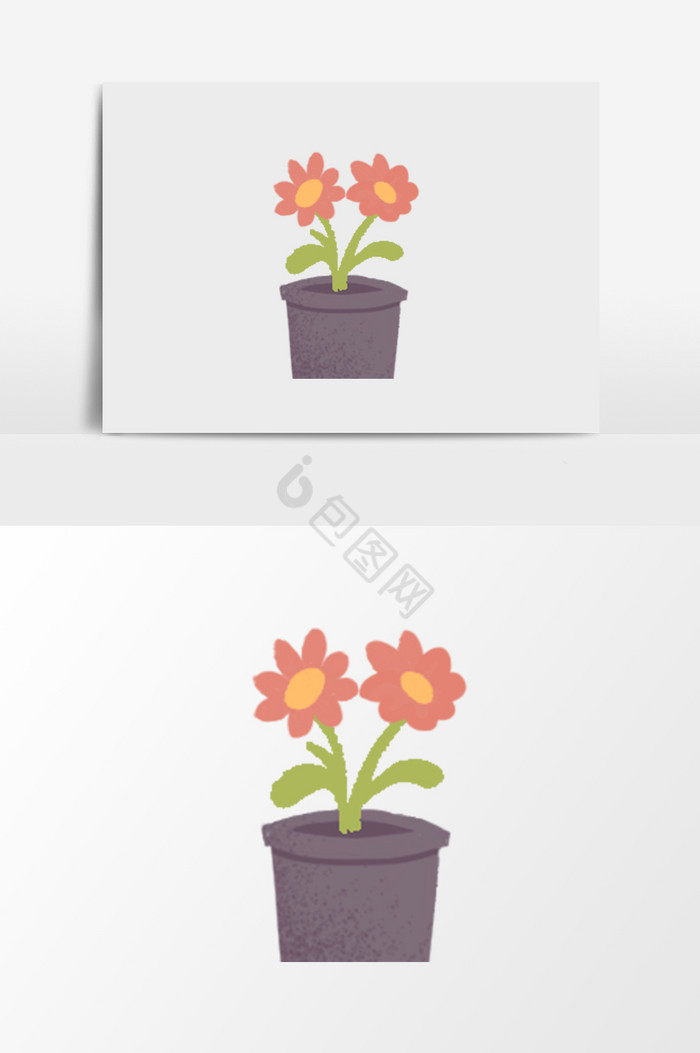 花卉花盆植物图片