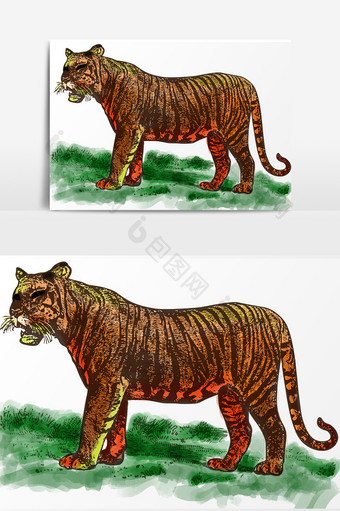 老虎手绘设计元素图片