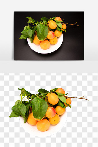 新鲜实拍杏高清免抠透底电商水果元素图片
