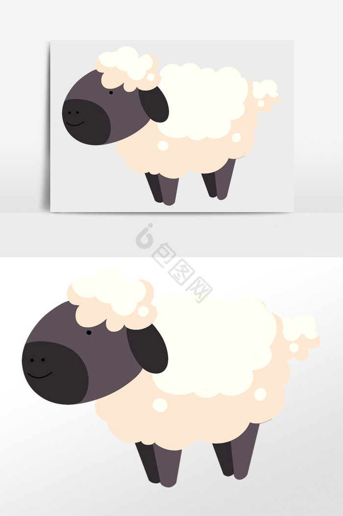动物绵羊插画图片