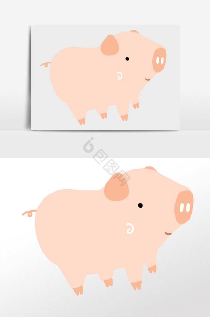 小猪插画图片
