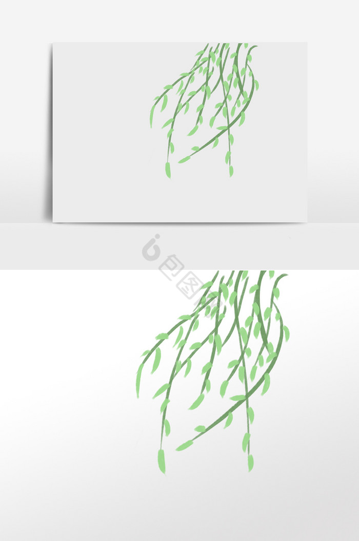 植物绿植柳树插画图片