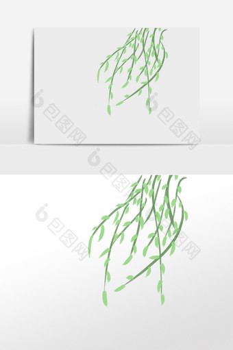 植物绿植柳树插画元素图片