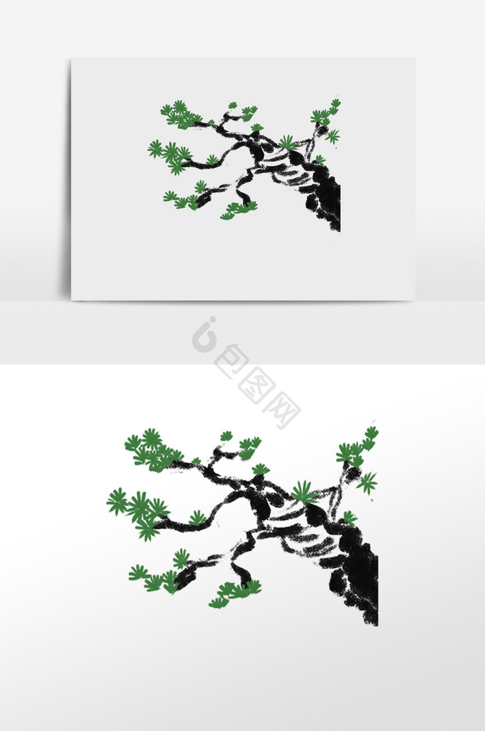 松树树木插画图片
