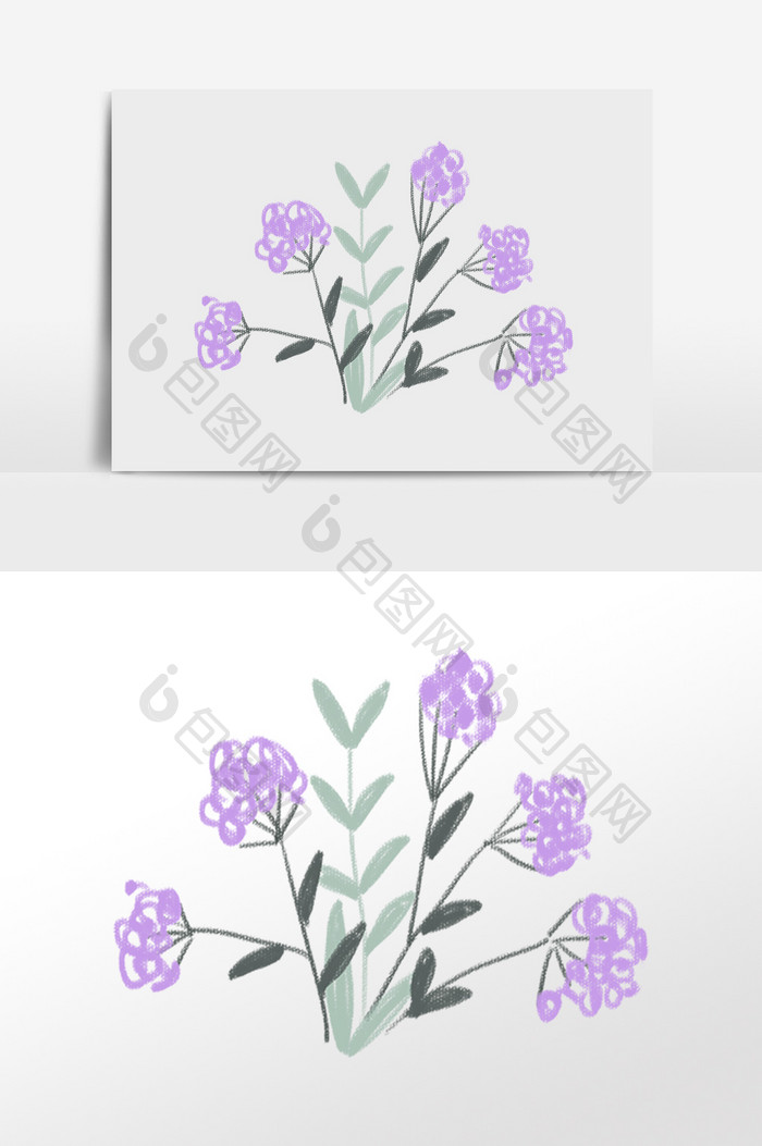紫色花草花卉插画 Psd素材 包图网 紫色花草花卉插画 Psd素材 包图网