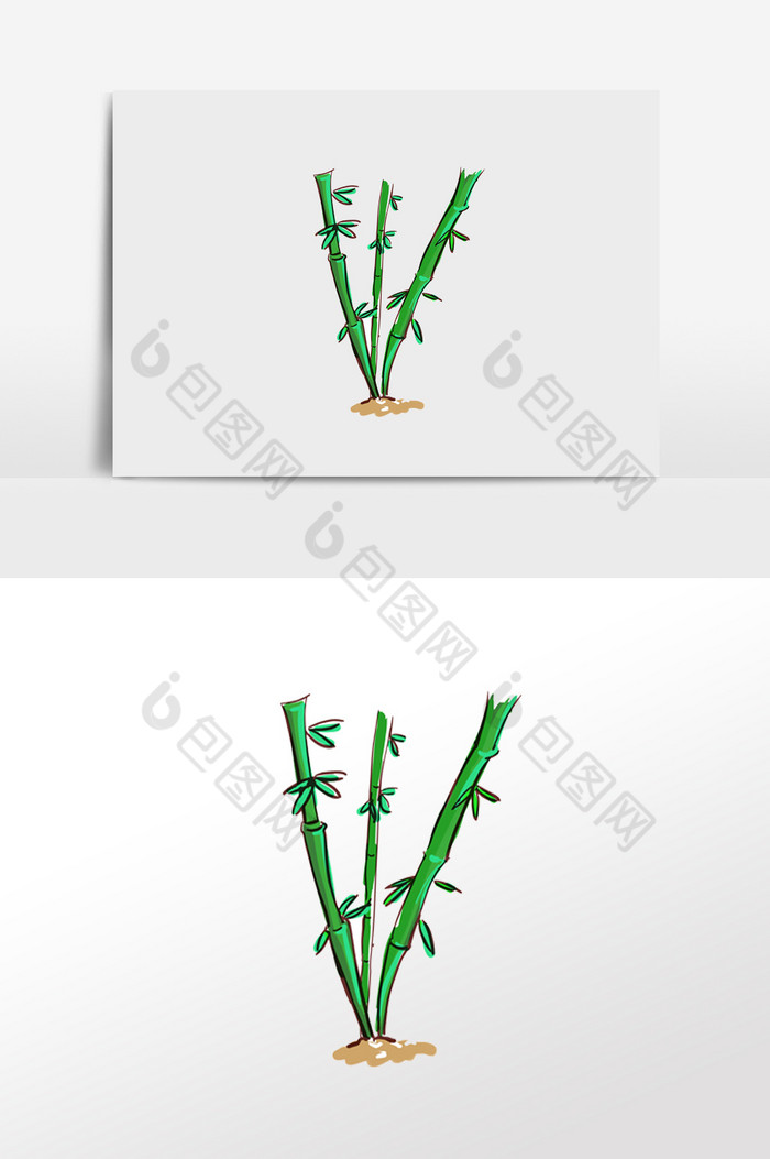 绿色植物植物竹子图片