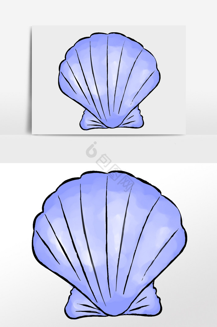 贝壳插画图片