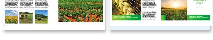清新时尚农业产品宣传画册