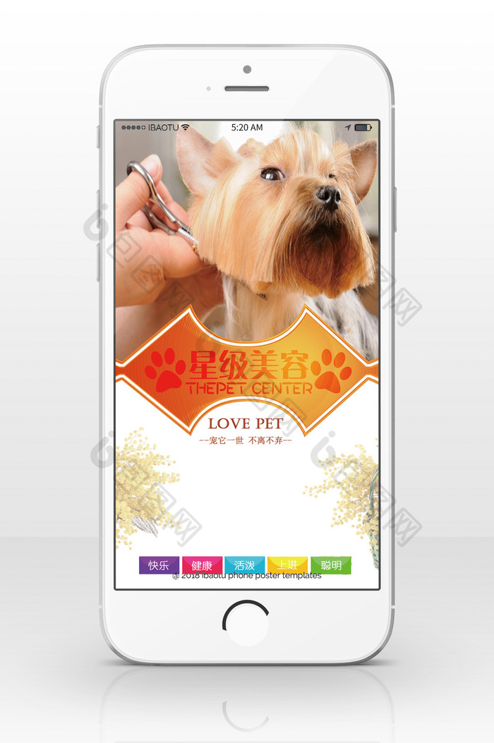 宠物美容动物装饰手机海报
