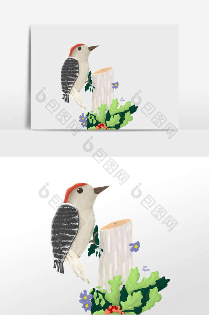 红冠小鸟插画图片图片