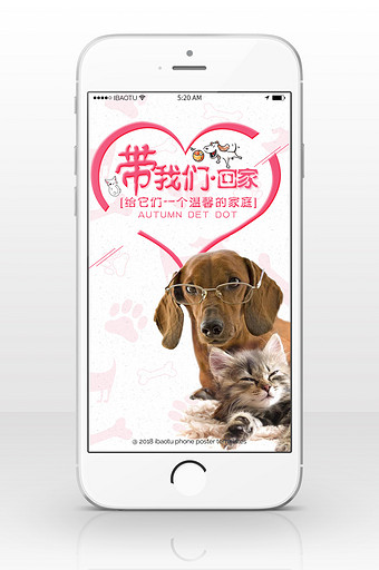 宠物故事美容医疗手机海报图片
