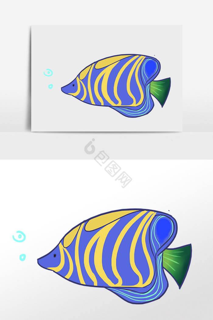 海洋鱼插画图片