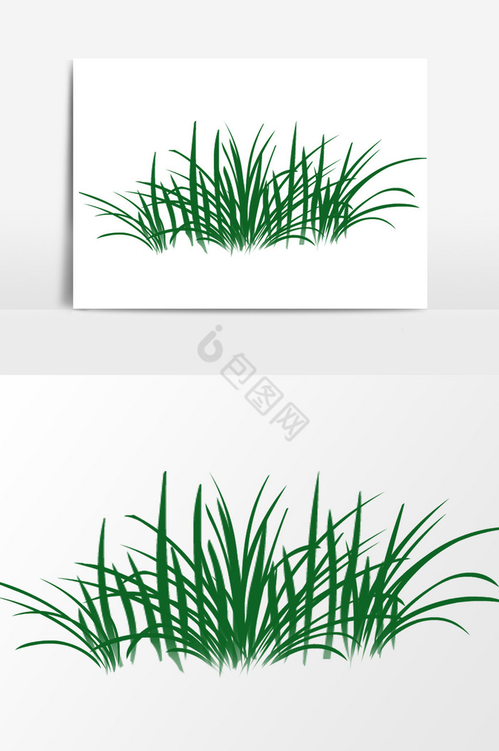 植物小草图片