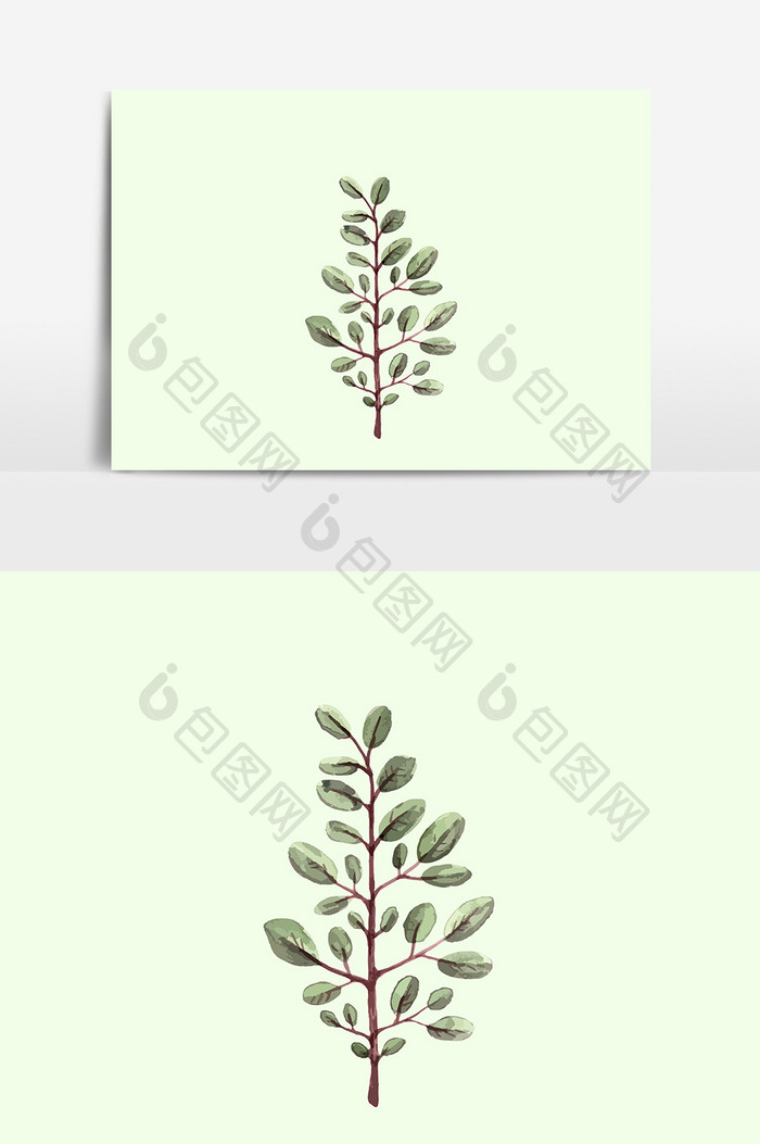 植物叶子卡通设计元素