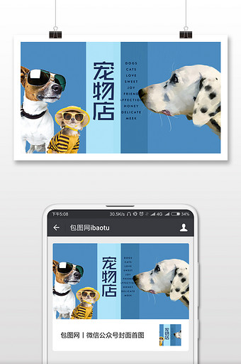 宠物服务动物商店微信公众号首图图片