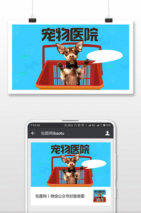 宠物医院动物服务微信公众号首图