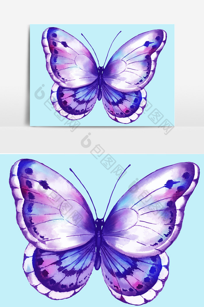 蝴蝶动物紫色设计元素
