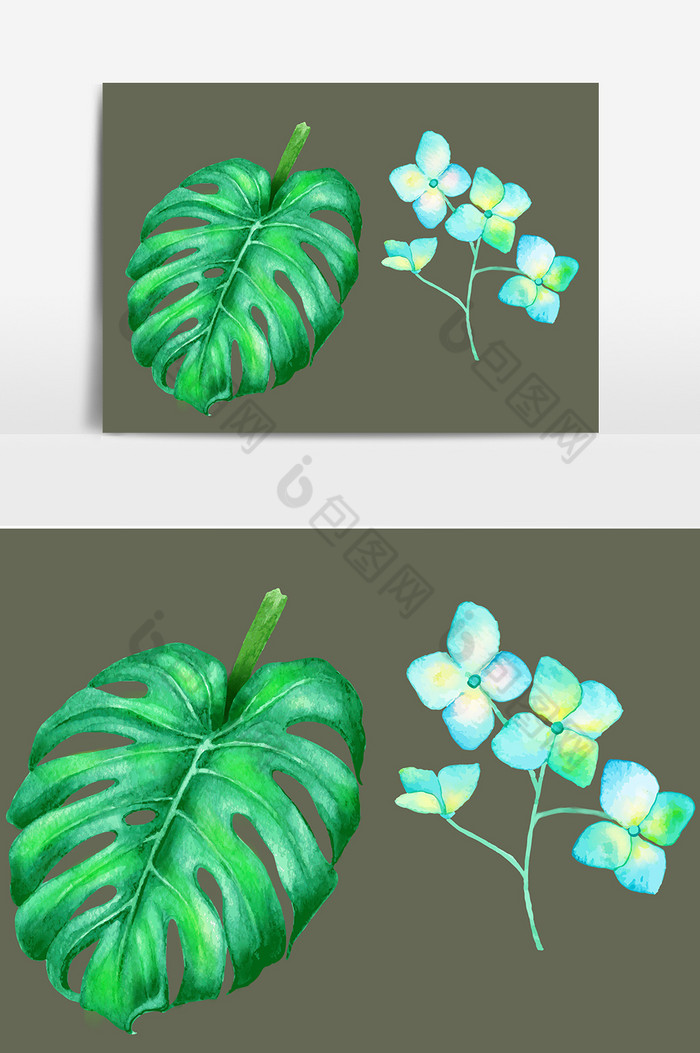 植物叶子图片图片