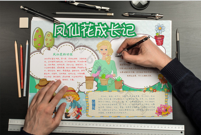 卡通可爱凤仙花成长小报手抄报word模板